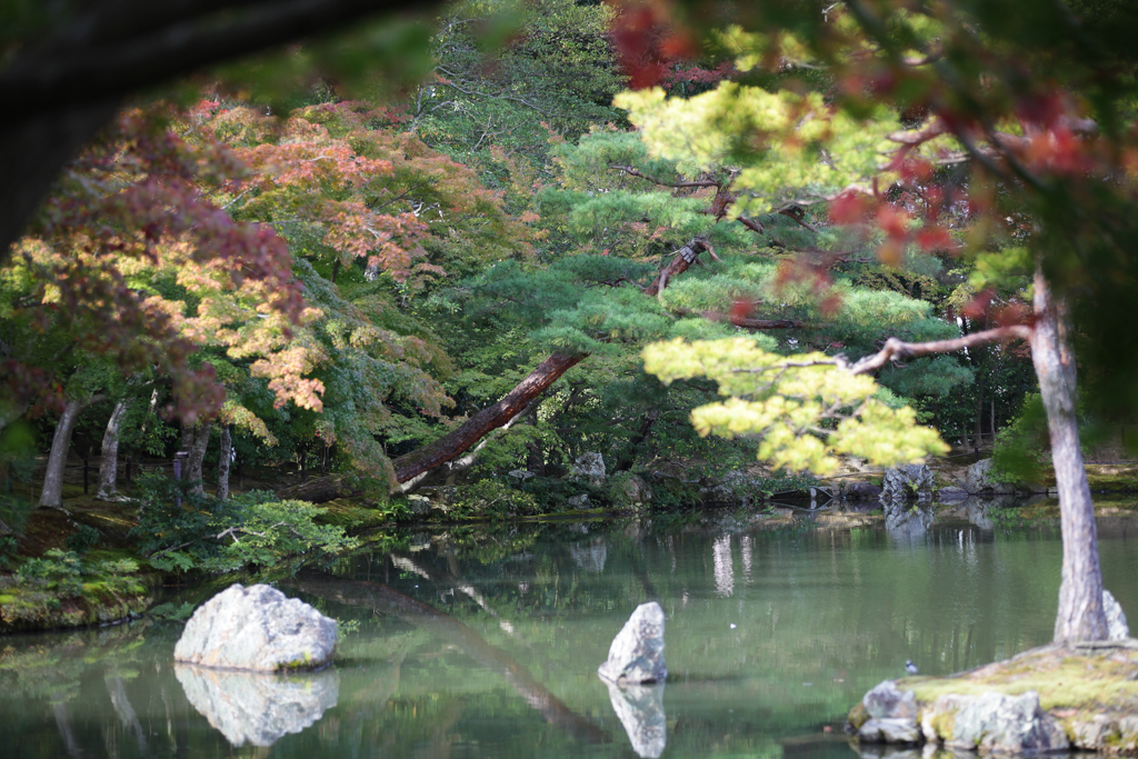 Kyoto 20151101-5