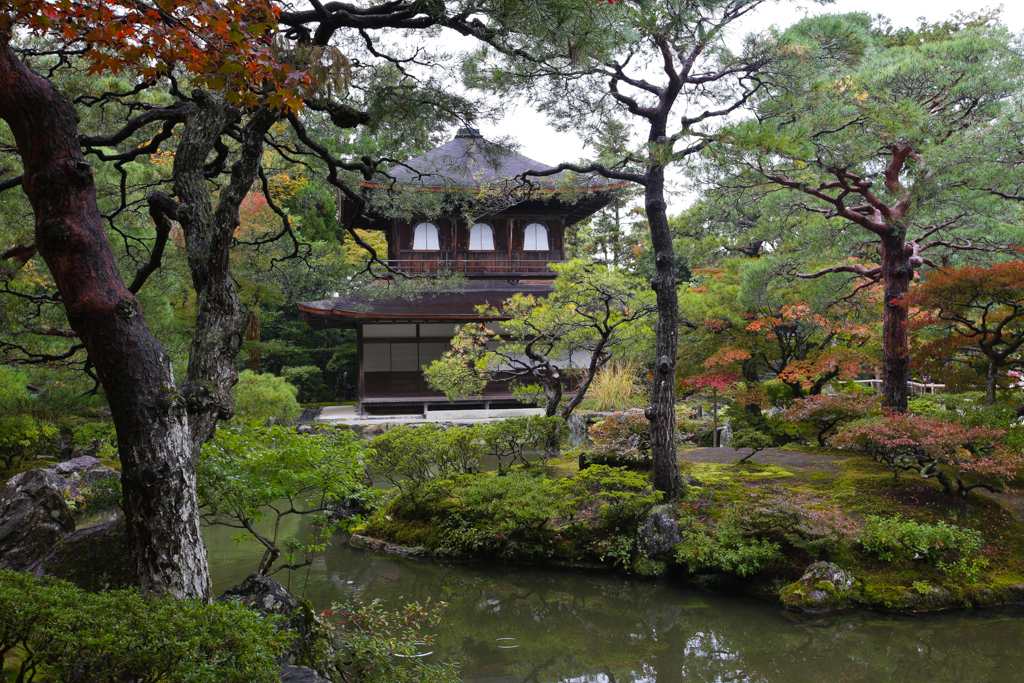Kyoto 20151102-10