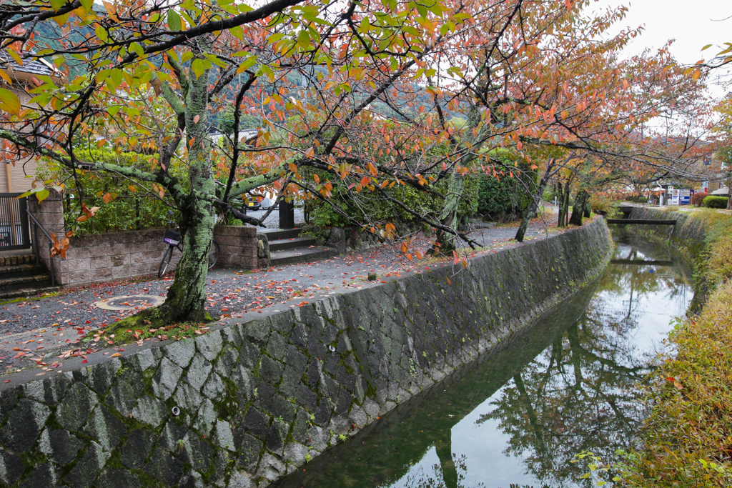 Kyoto 20151102-11