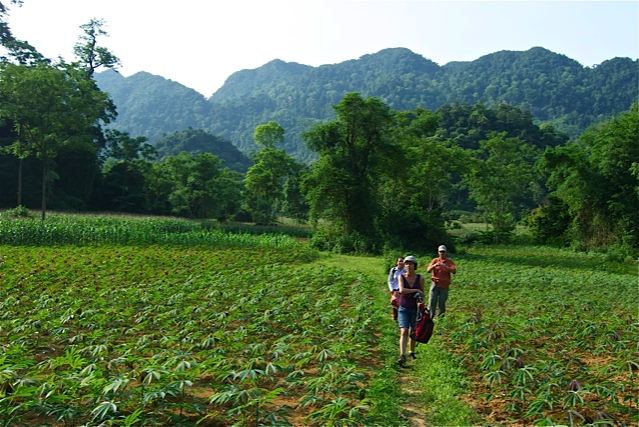 Exploration du Ngoc Son Ngo Luong Nature Reserve