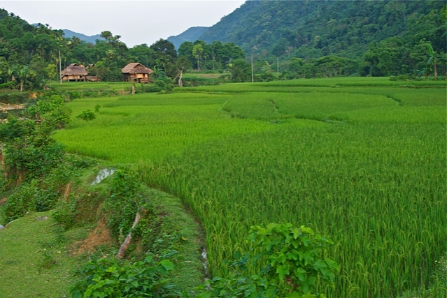 Exploration du Ngoc Son Ngo Luong Nature Reserve