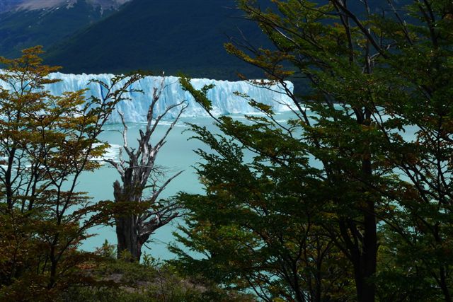 De Chalten au Perito Moreno