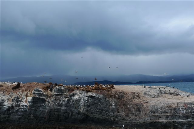 Sur le canal de Beagle et dans la prison d'Ushuaia