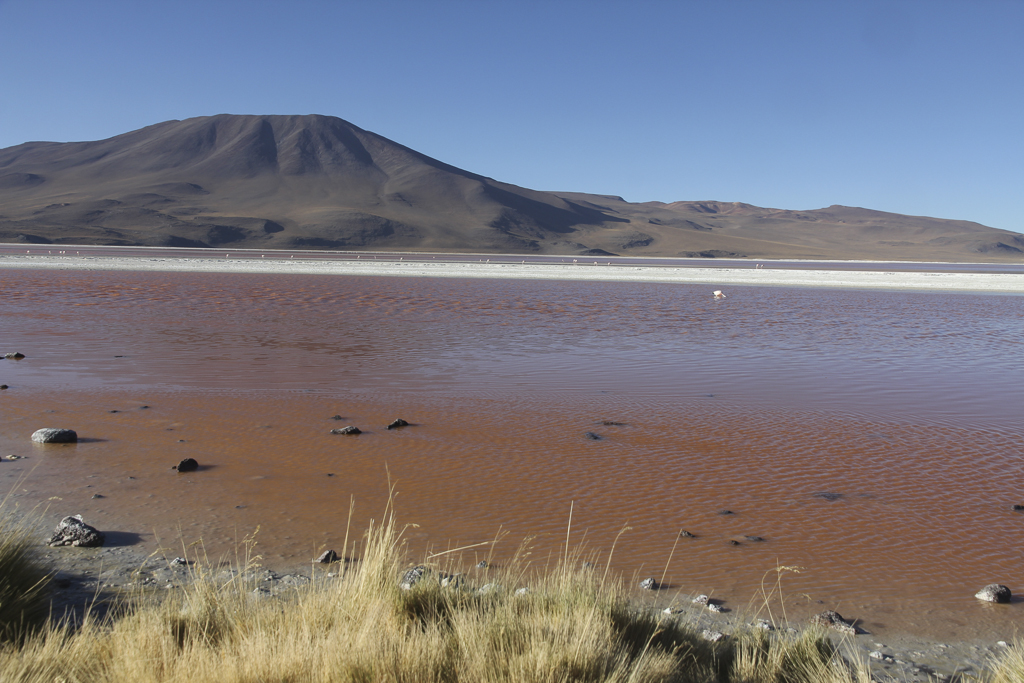 laguna-colorada-(50)