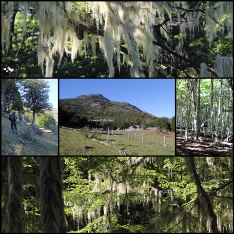 Ascension de l'antécime de Lindero Magallanes (1400 m)
