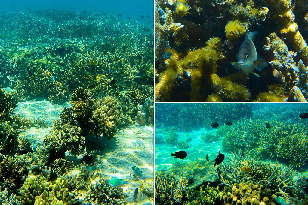 Fonds marins devant l'île de Nosy Tany Kely