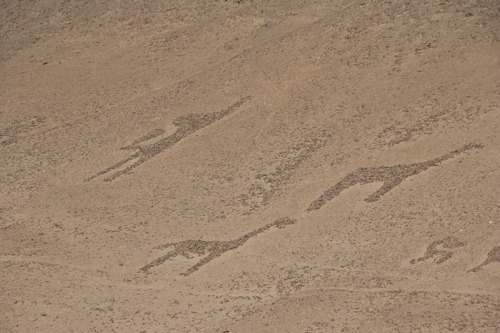Géoglyphes, Azapa, Chili - Arica, vallée d'Azapa