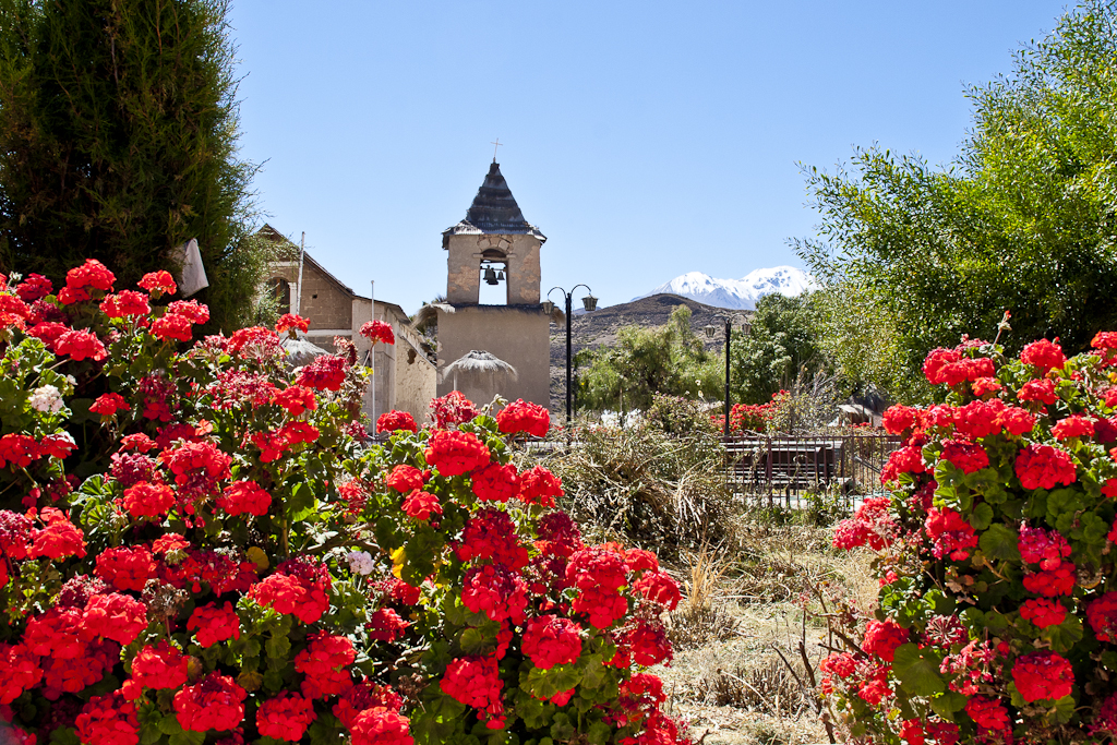 Vallée de Llutra, Chili - Vallée de Lluta et Putre