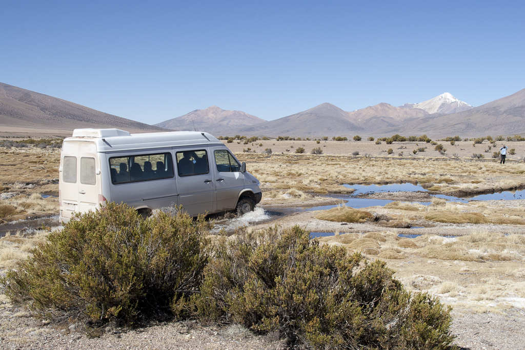 Un peu de végétation, Altiplano, Chili - Transfert à Colchane