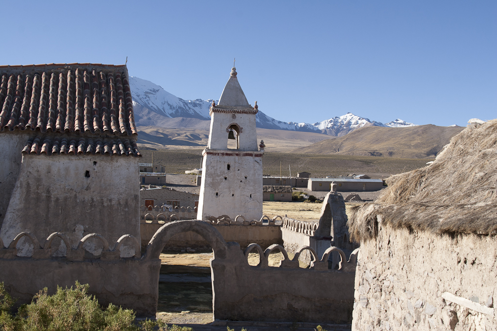 Un peu de végétation, Altiplano, Chili - Transfert à Colchane