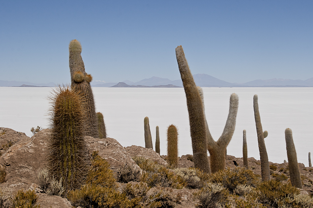 Marche sur le Salar d'Uyuni, Bolivie - Le Salar d'Uyuni