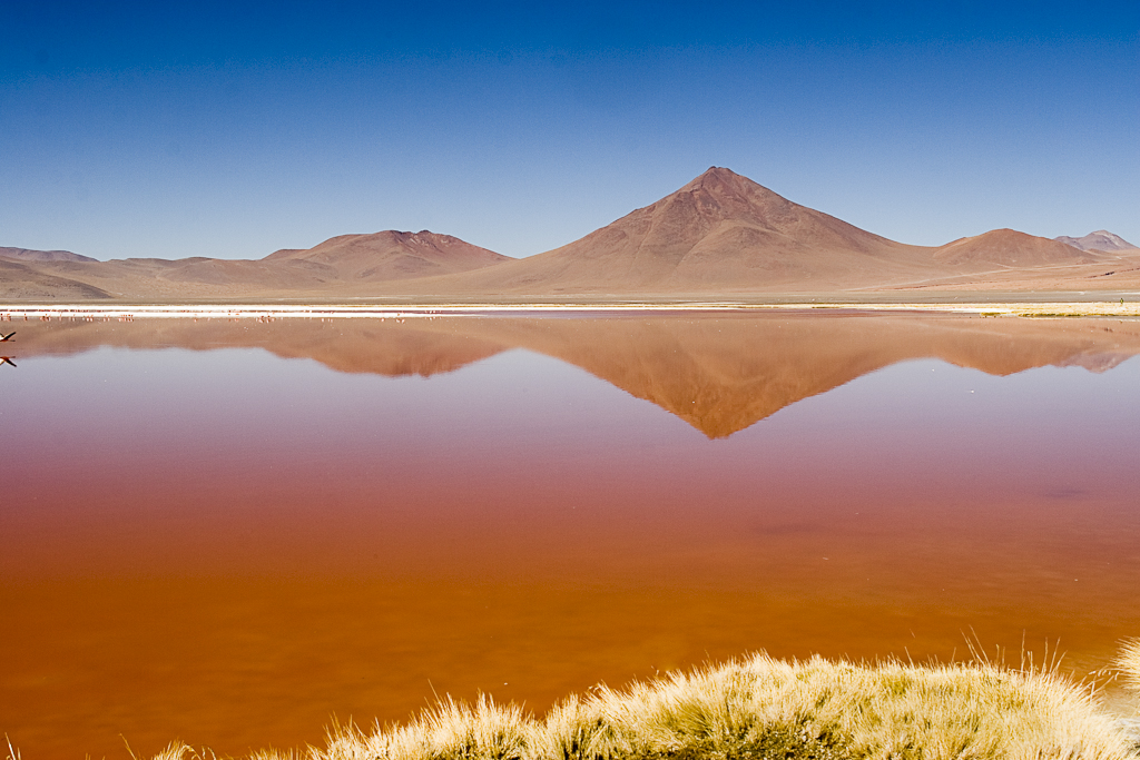 La laguna Colorada, Bolivie - Laguna Colorada et solfatares de Sol de Manana
