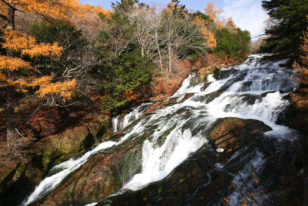 Nikko 20151024-1