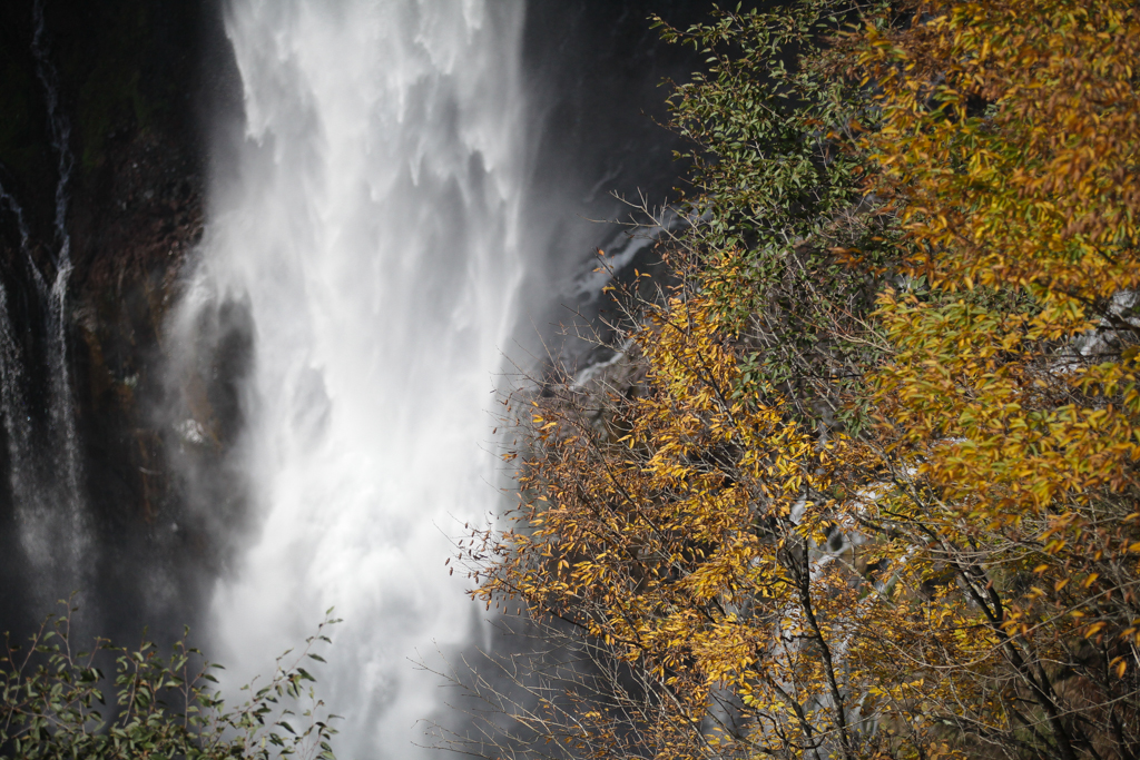 Nikko 20151024-4