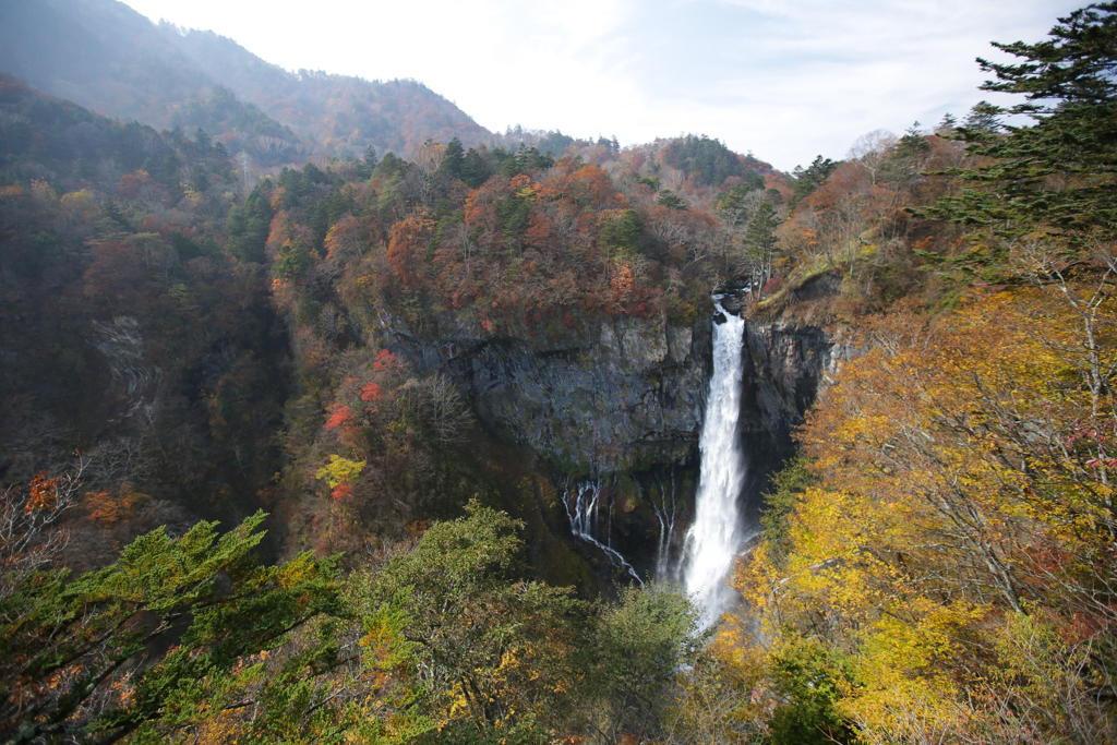 Nikko 20151024-5