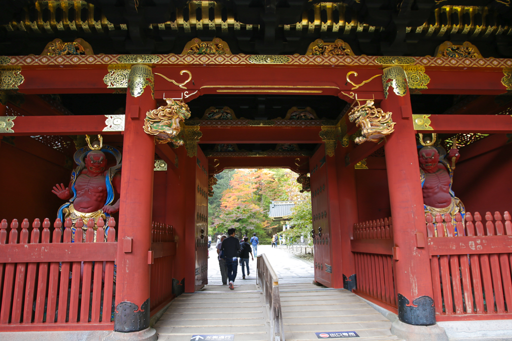 Nikko 20151024-7