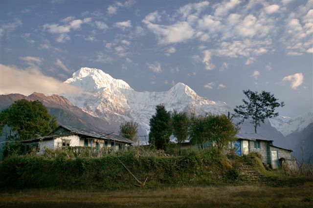 Fin du trek et retour à Pokhara (800 m)