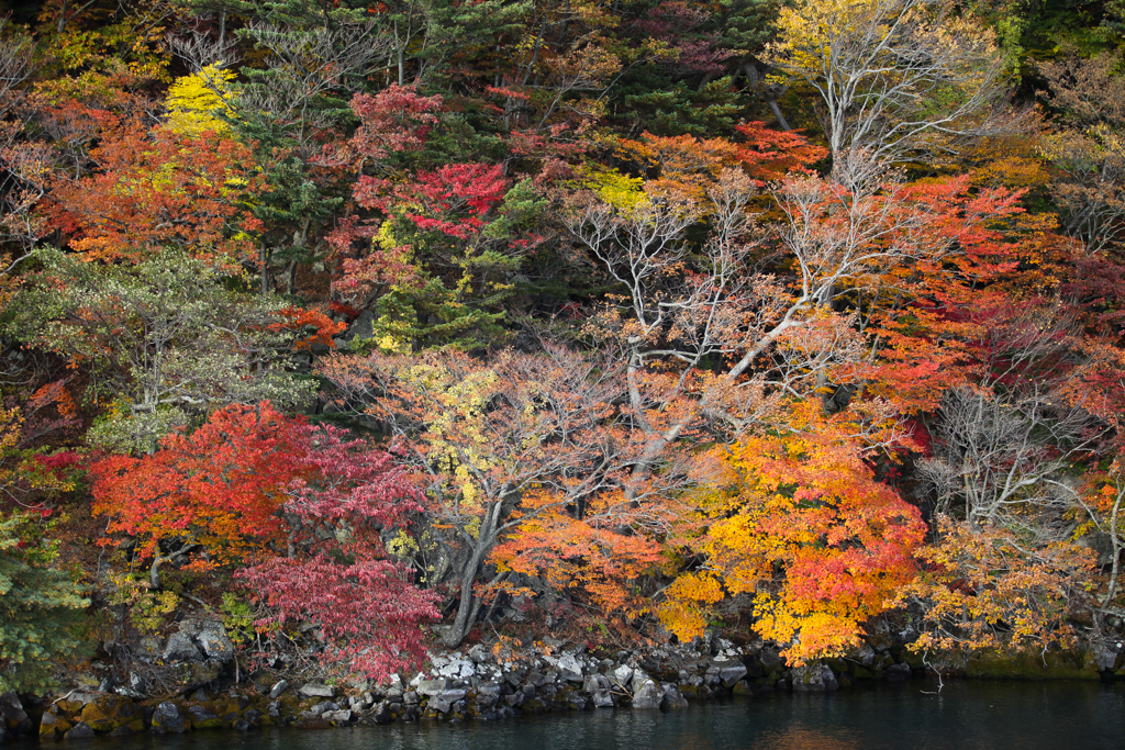 Oirase et lac Towada 20151021-13