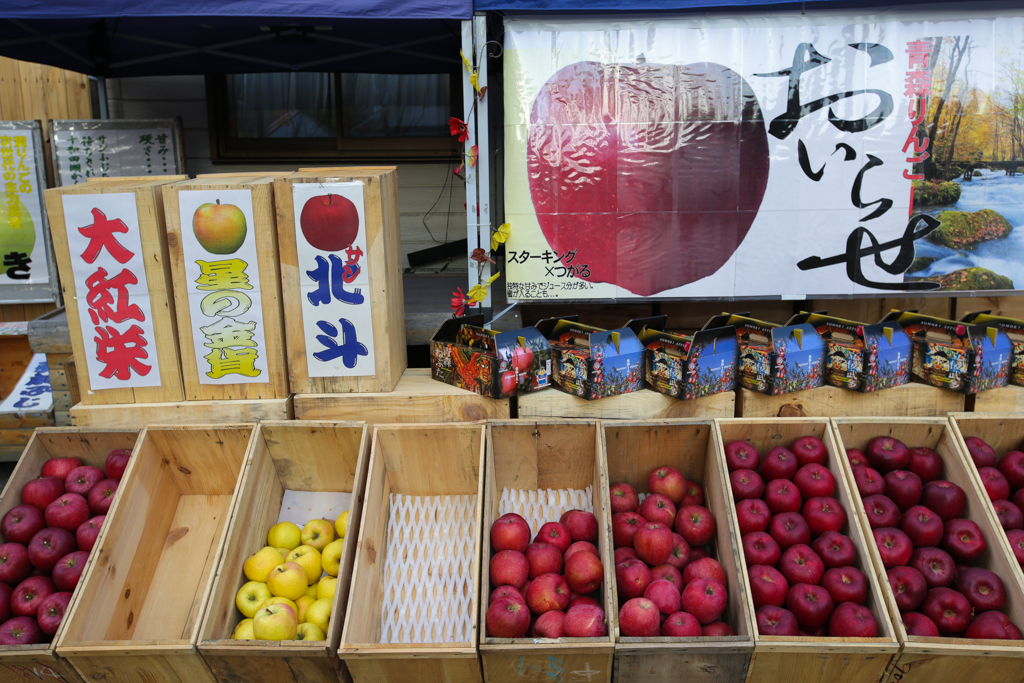 Oirase et lac Towada 20151021-18