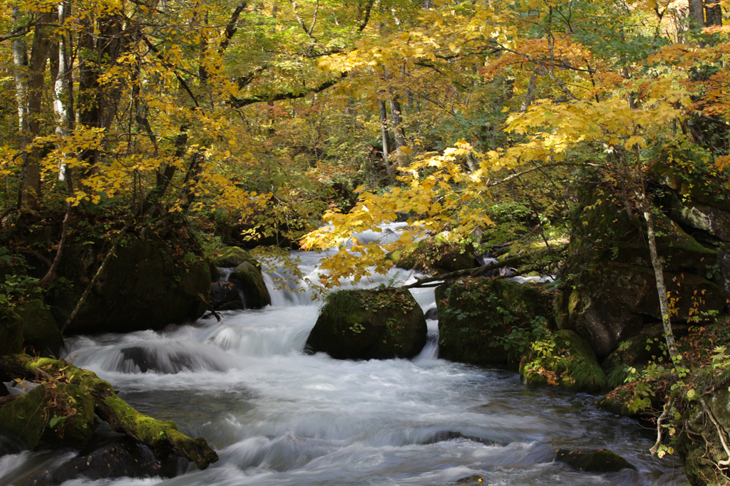 Oirase et lac Towada 20151021-3