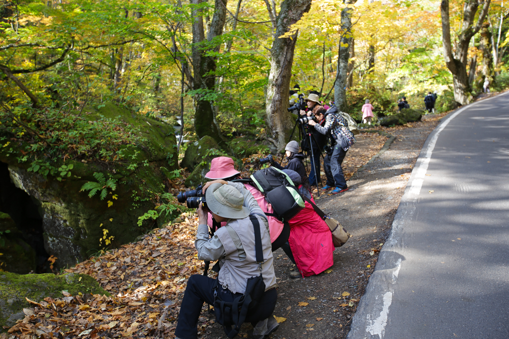 Oirase et lac Towada 20151021-4