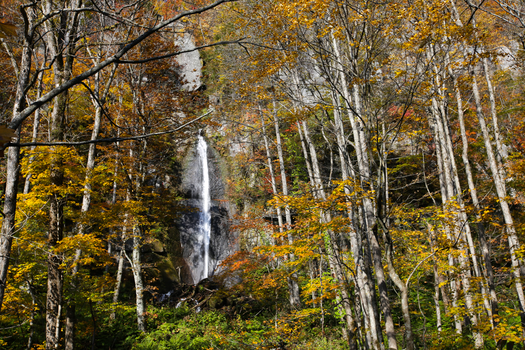 Oirase et lac Towada 20151021-5