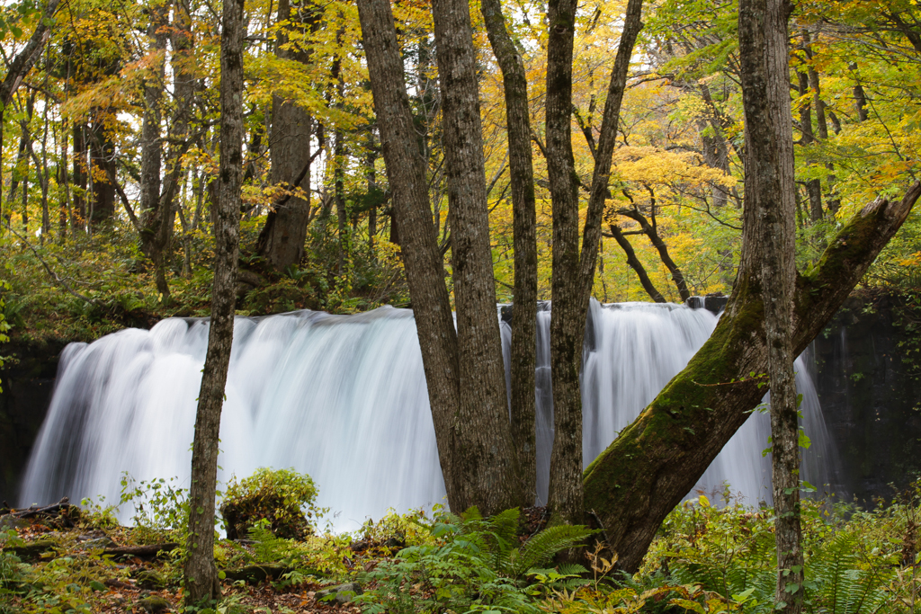 Oirase et lac Towada 20151021-8