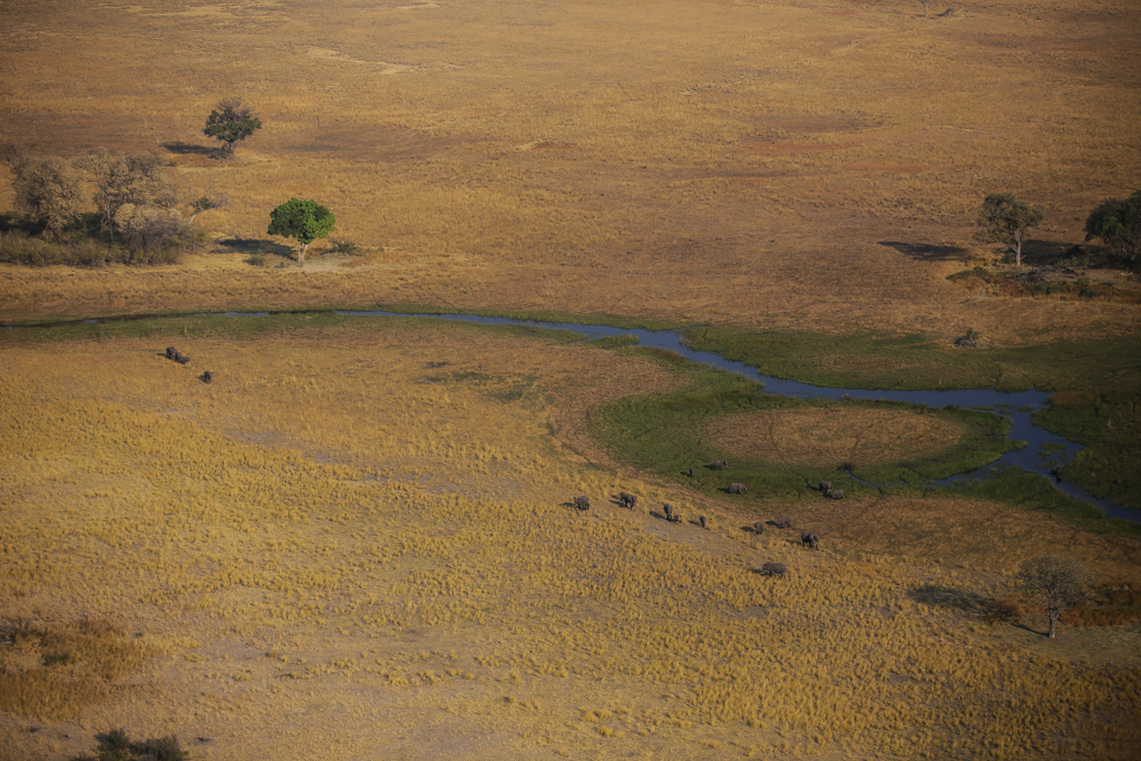 Okavango 1-11