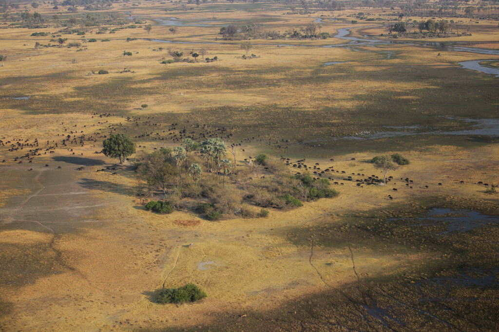 Okavango 1-13