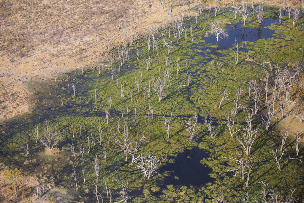 Okavango 1-6
