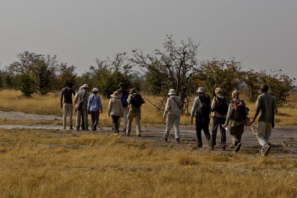 Okavango-15