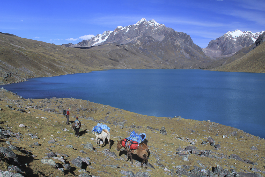 Notre petite caravane sur les bords de la lagune Singrenacocha