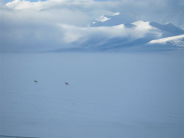 Au petit matin depuis le train du ciel - 5h du matin - 2868m - Le train du Ciel