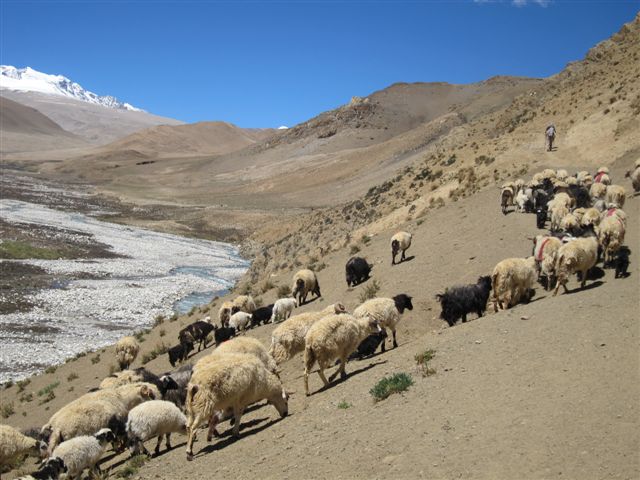 Trek vers le Lapchi Tso