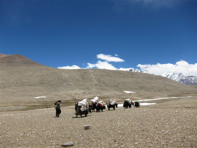 Trek vers le Lapchi Tso