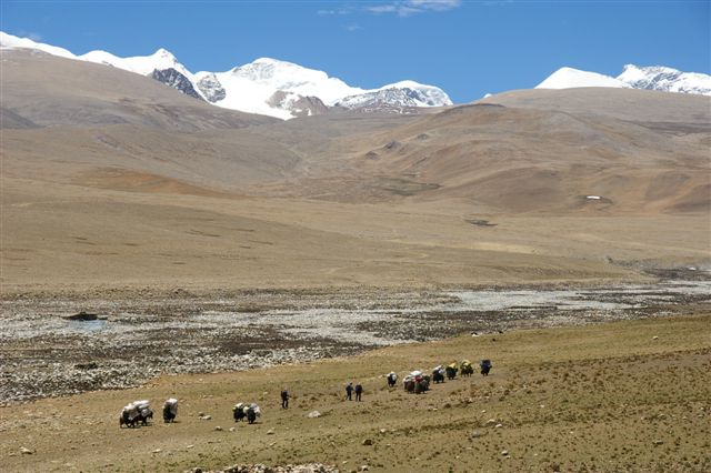 Trek vers le Lapchi Tso