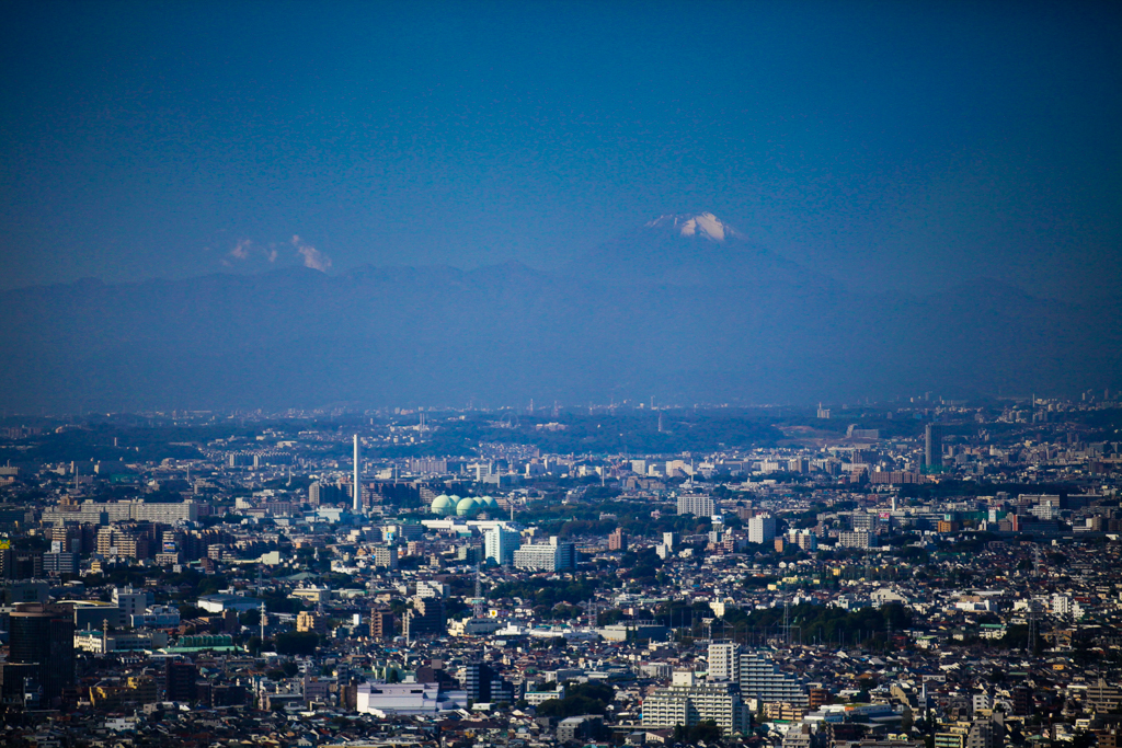 Tokyo 20151025-2