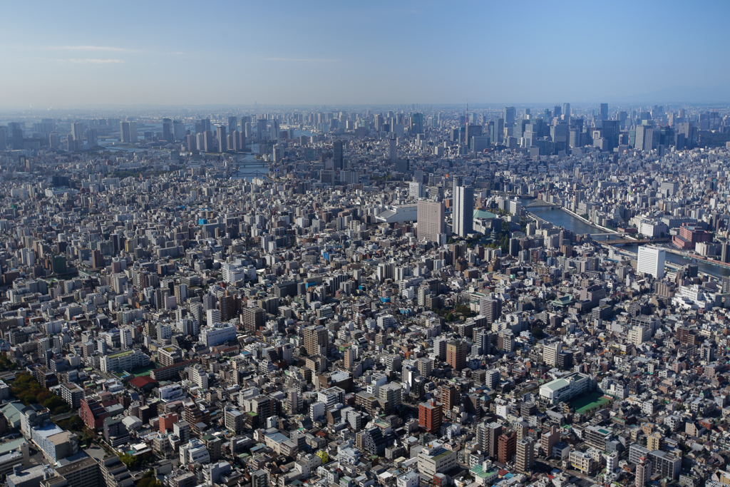 Tokyo 20151026-5