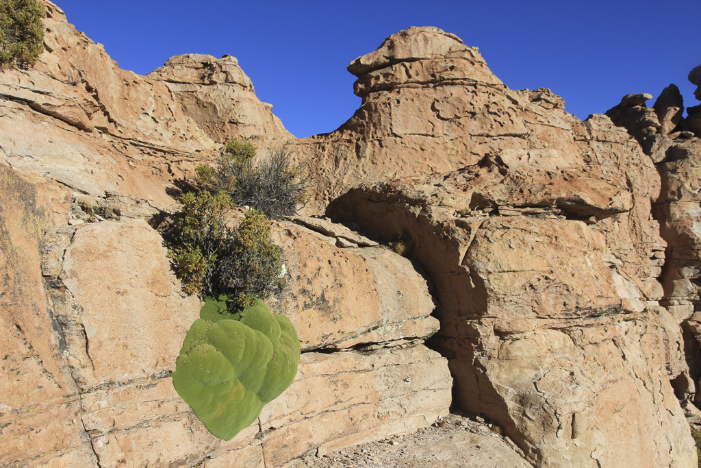 vallee-de-las-rocas-(17)