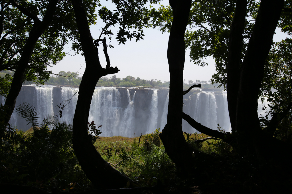 Vic Falls-14