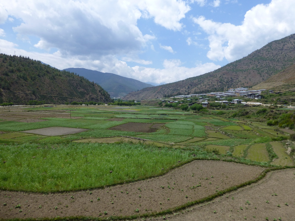 Thimphu et Paro