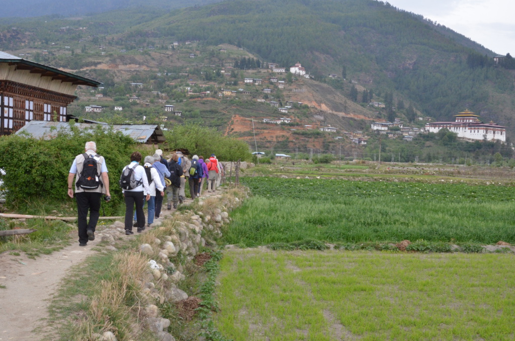 Thimphu et Paro