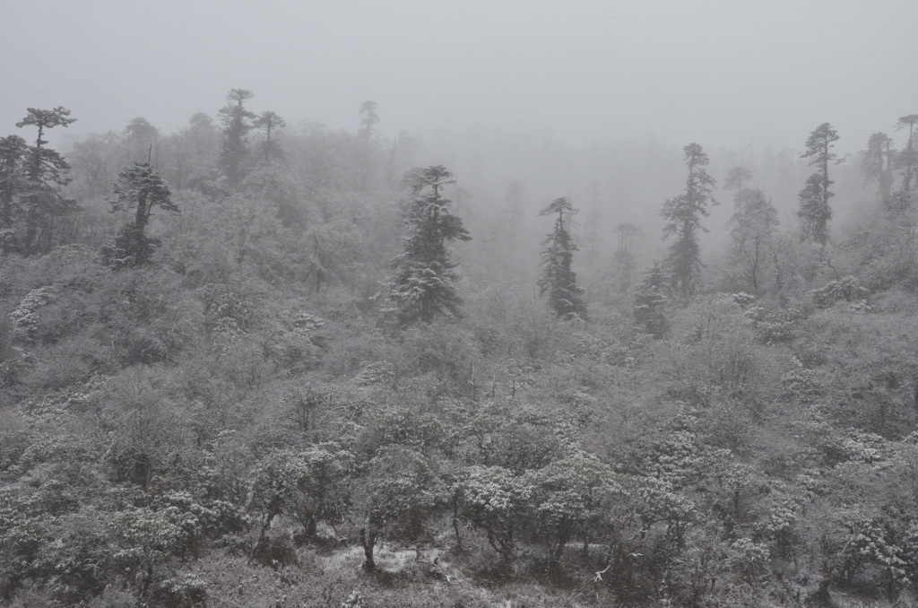 La neige est localisée au passage du col