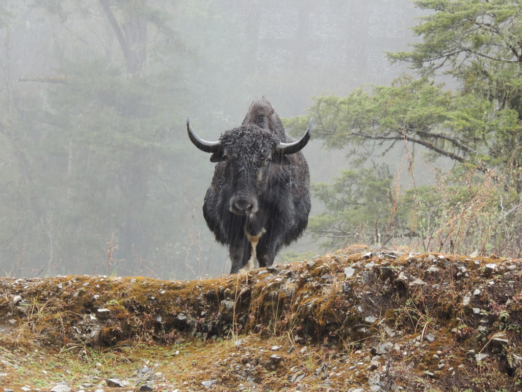 La nature est exubérante et variée - La journée des 3 cols