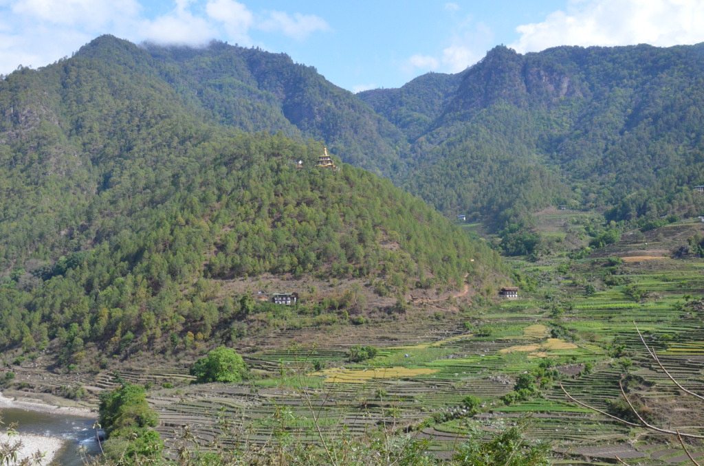 Vallée de Punakha