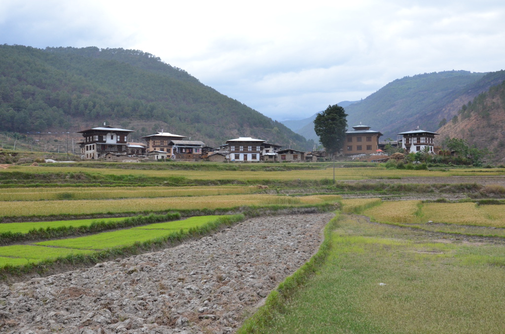 Petit village à côté de Punakha